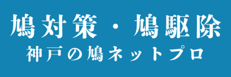 神戸の鳩ネットプロ