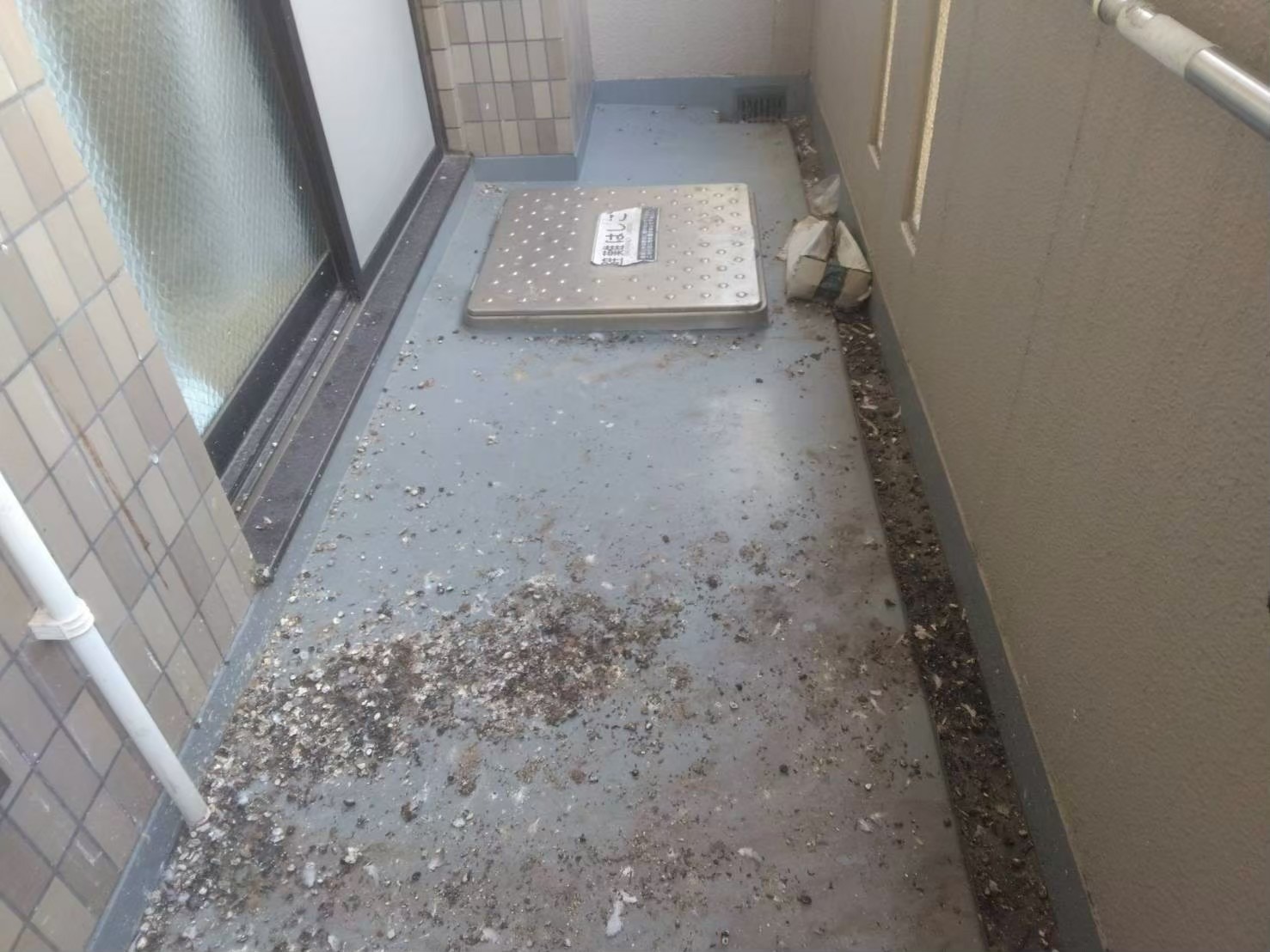 糞に困っている